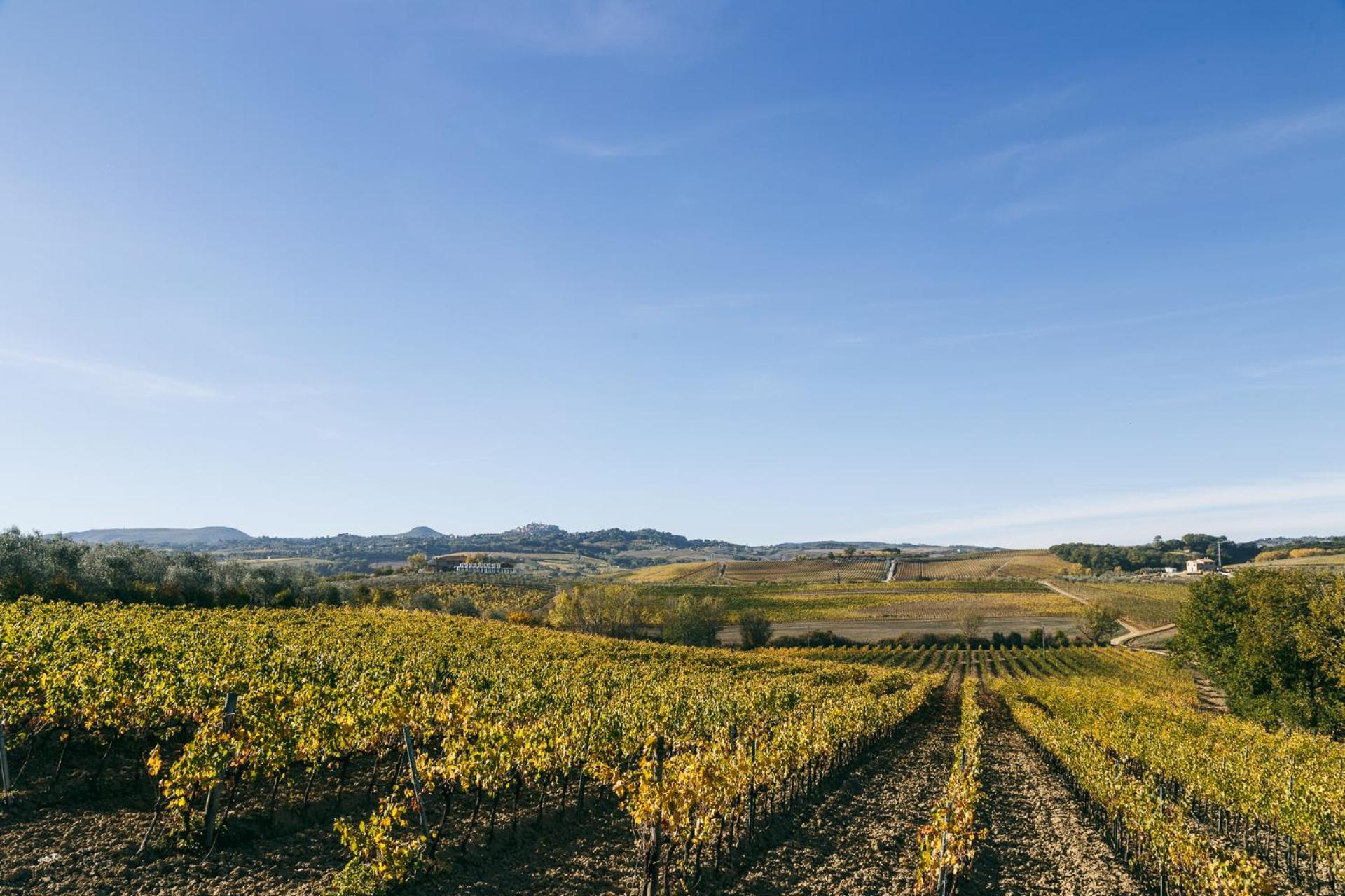 L'Orto Di Panza Panzió Abbadia di Montepulciano Kültér fotó