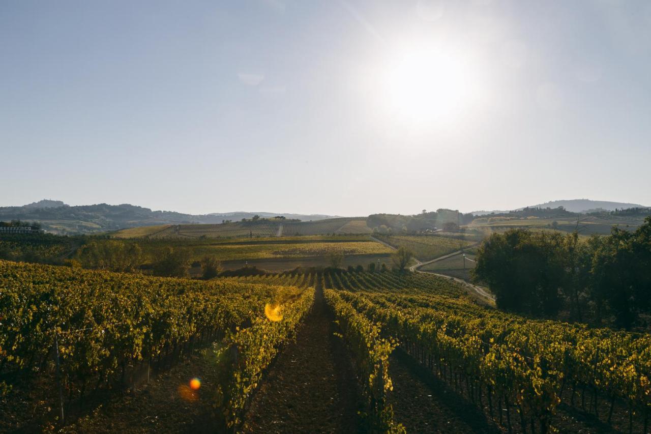 L'Orto Di Panza Panzió Abbadia di Montepulciano Kültér fotó